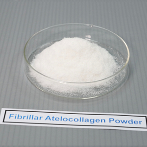 Polvo de atelocolágeno fibrilar